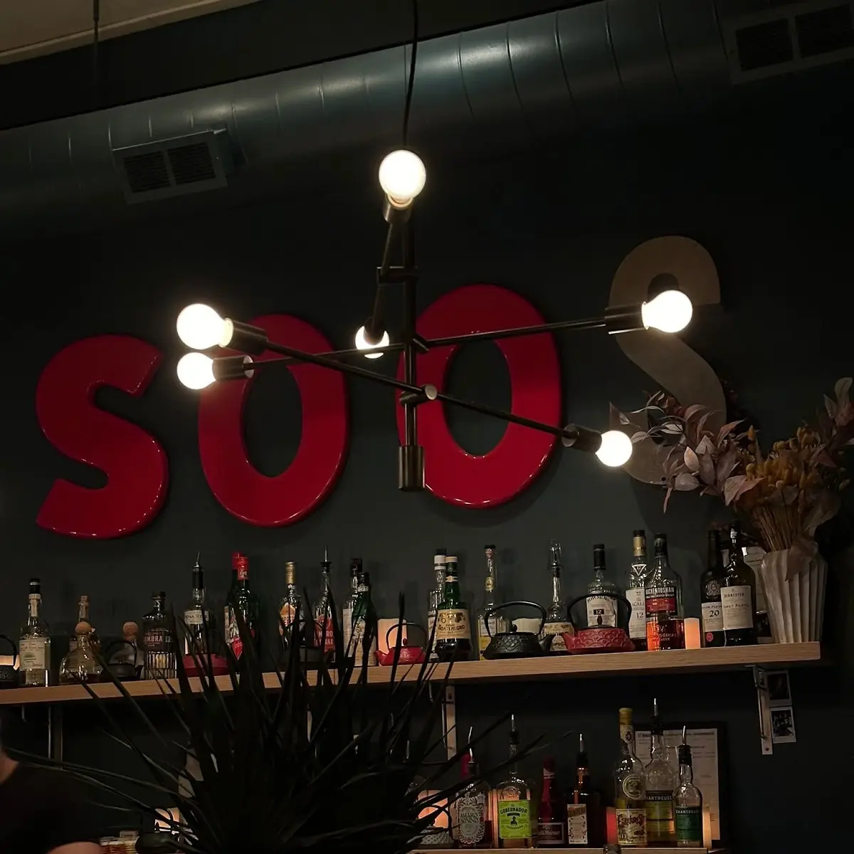 Vibe, Soos