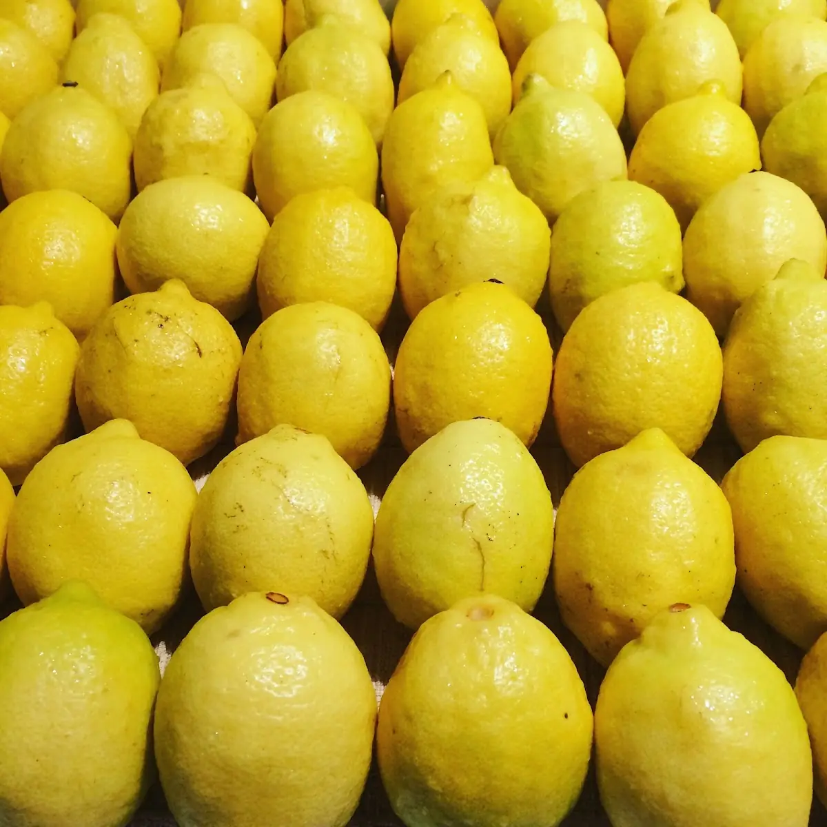 Food & drink, Tall Tom's Lemonade & Ice Cream