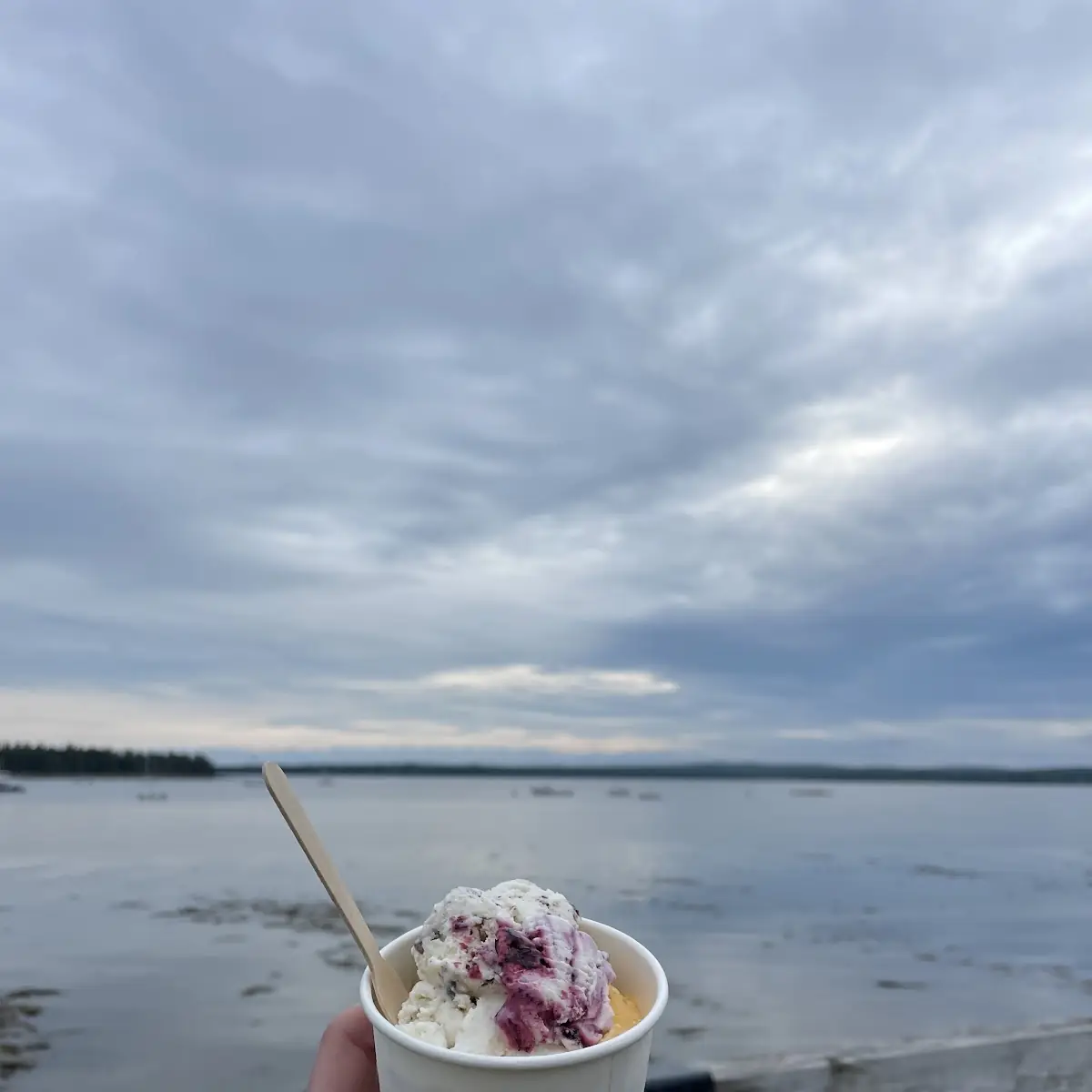 Food & drink, Tall Tom's Lemonade & Ice Cream
