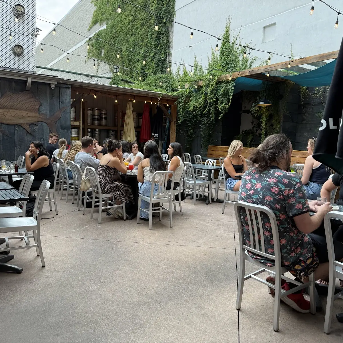 Vibe, The Kingston Brewing Company