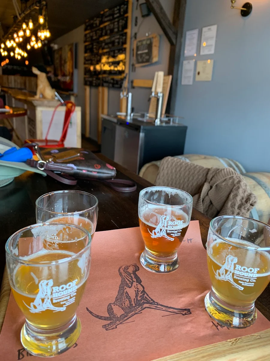 Food & drink, Roof Hound Brewing Co.