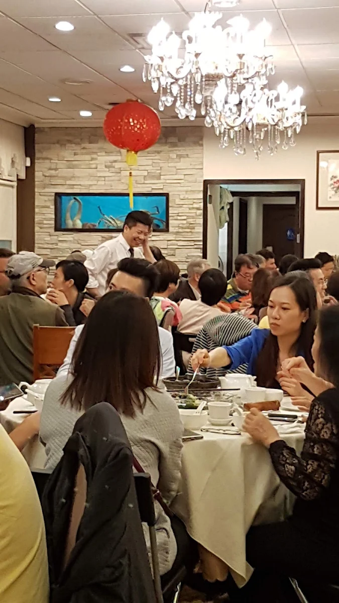 Vibe, Haiyi Seafood Restaurant