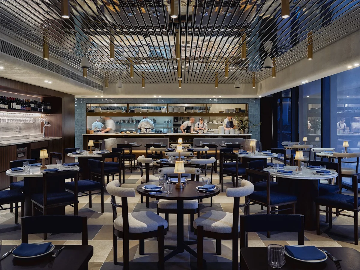 Vibe, Loulou Bistro - Martin Place