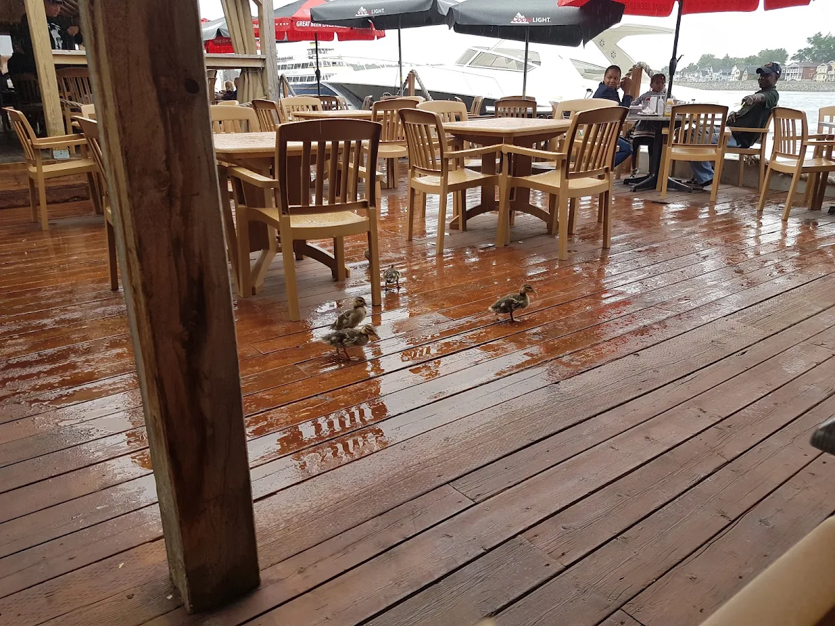 Vibe, Rockcliffe Boathouse Restaurant & Marina
