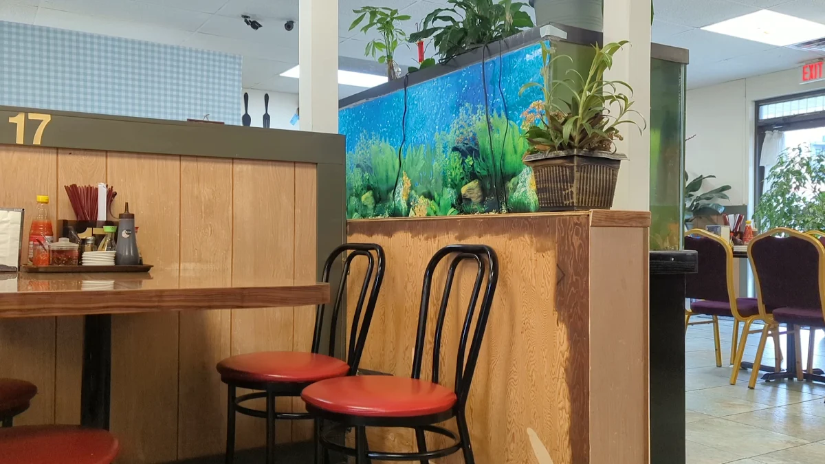 Vibe, Pho Binh Minh