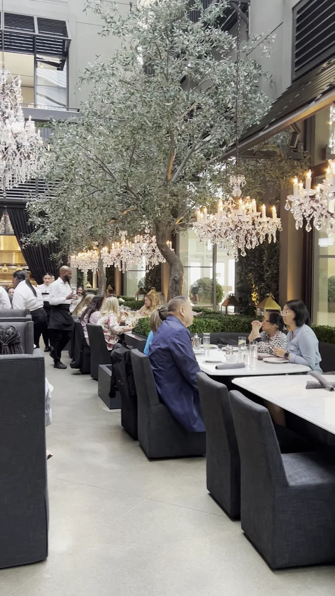 Vibe, RH Courtyard Restaurant at RH Toronto