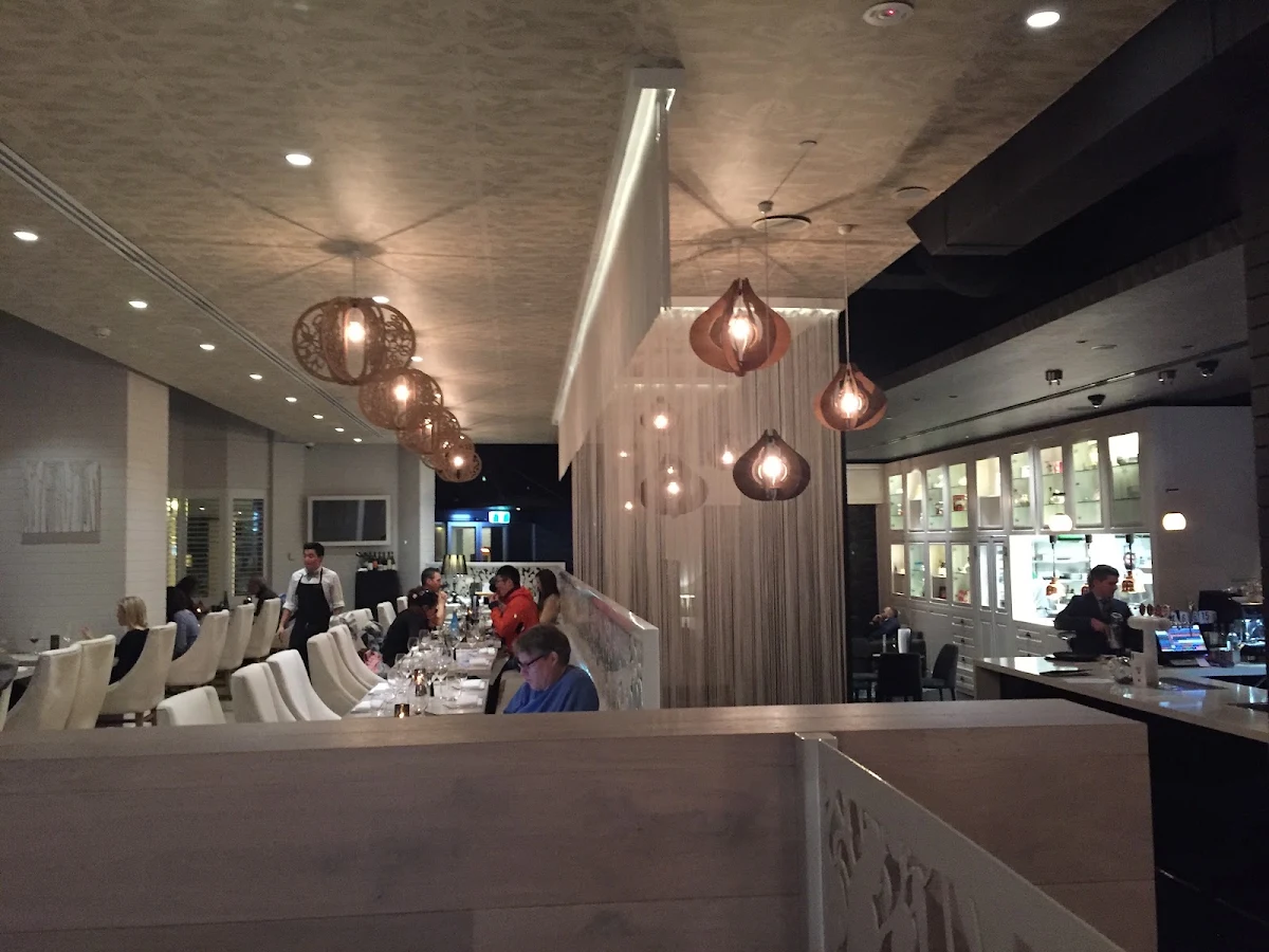 Vibe, ABODE Bistro. Bar