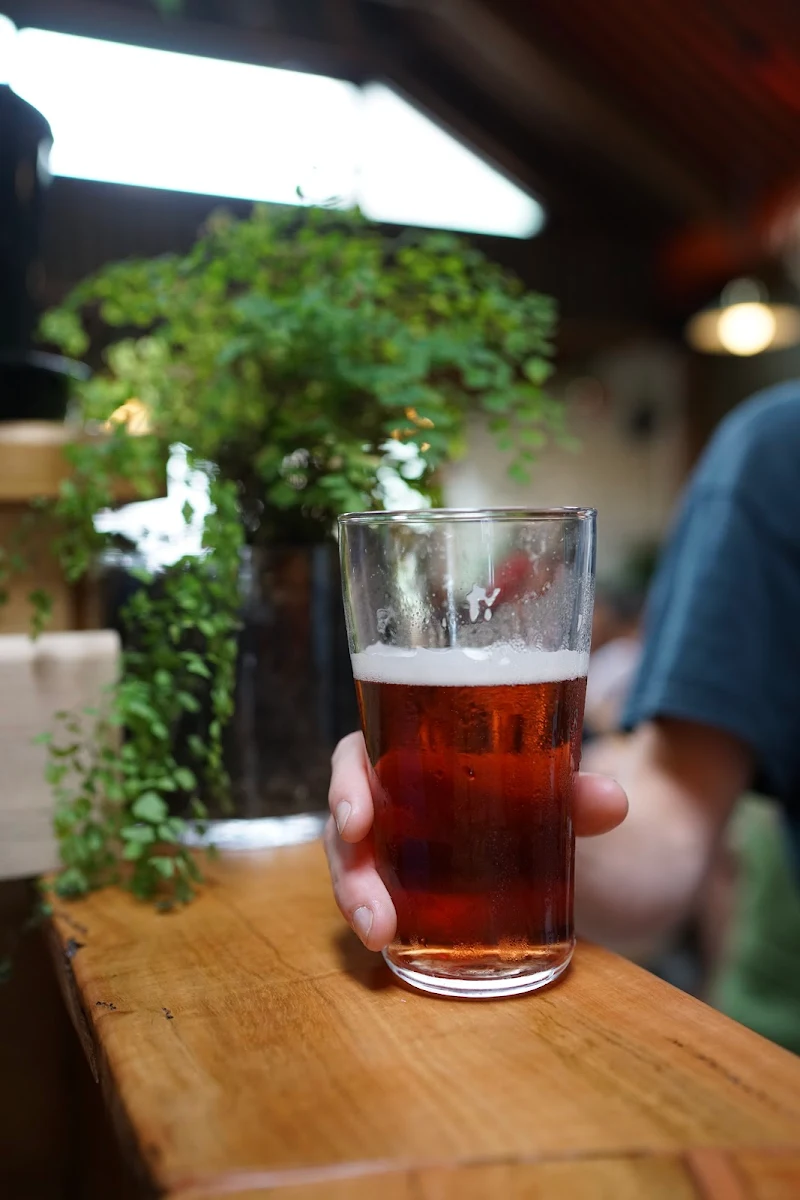 Food & drink, House of Plants Bar
