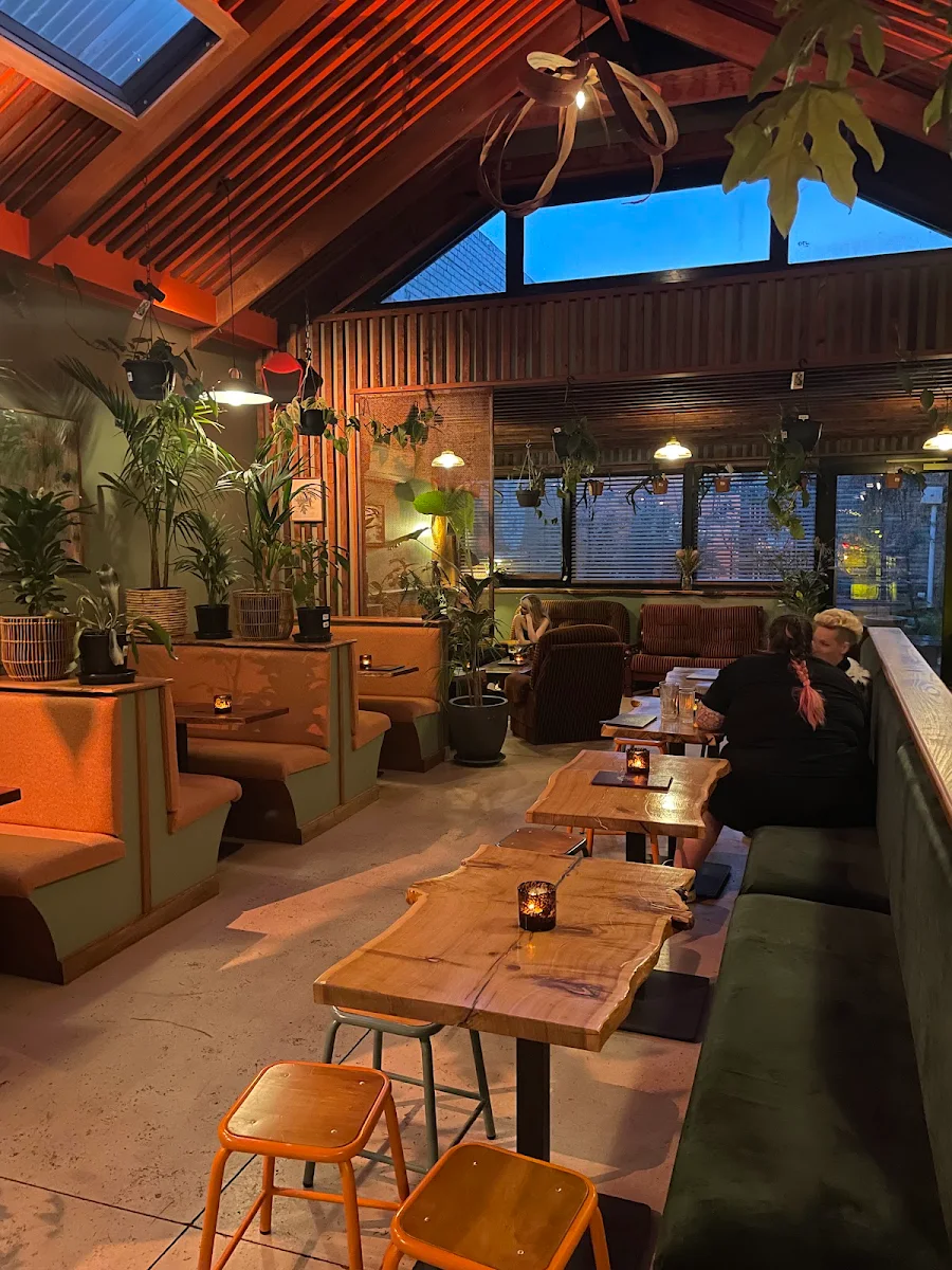 Vibe, House of Plants Bar