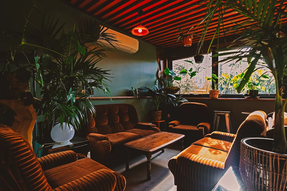 Vibe, House of Plants Bar