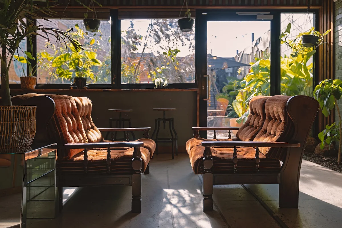Vibe, House of Plants Bar