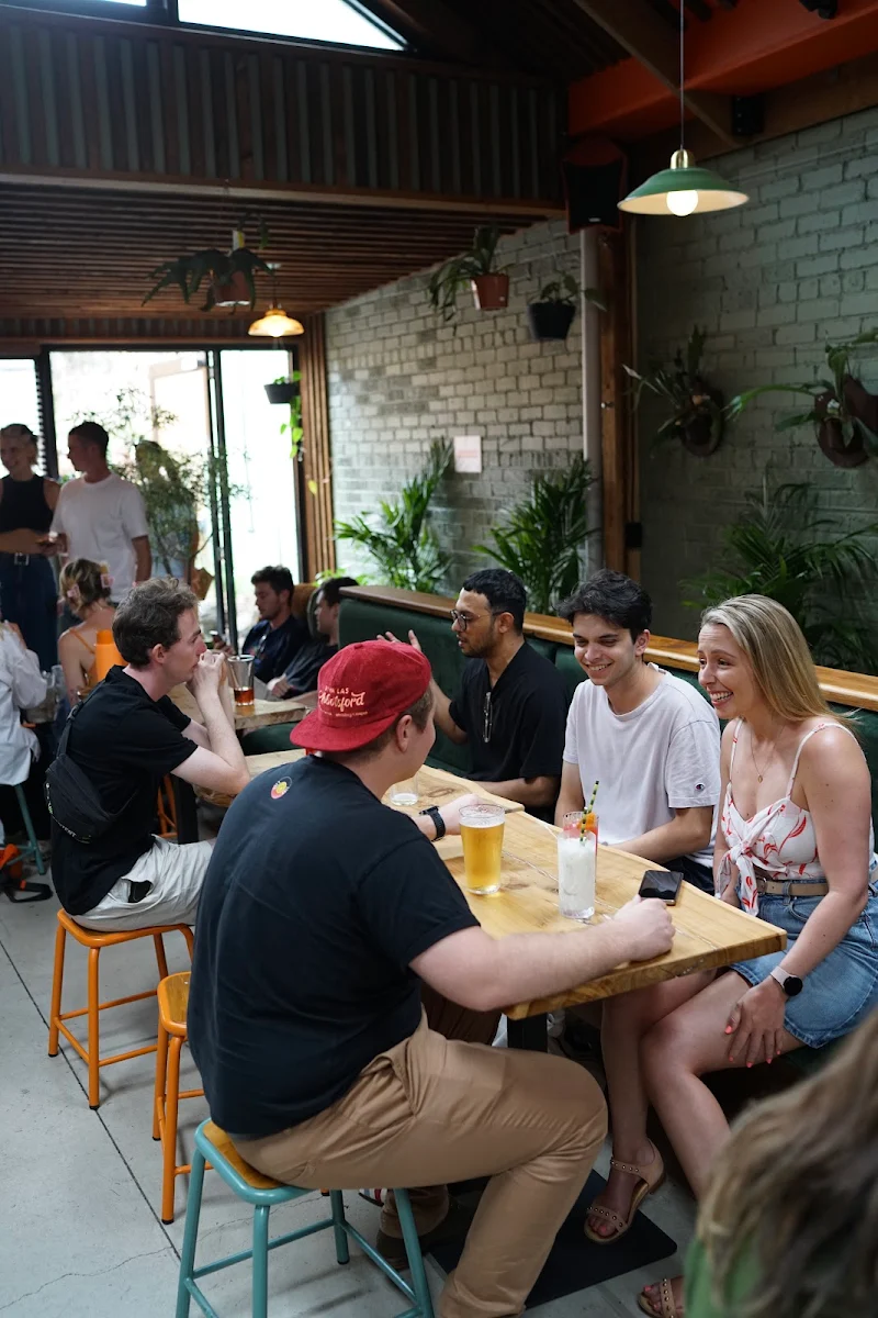 Vibe, House of Plants Bar