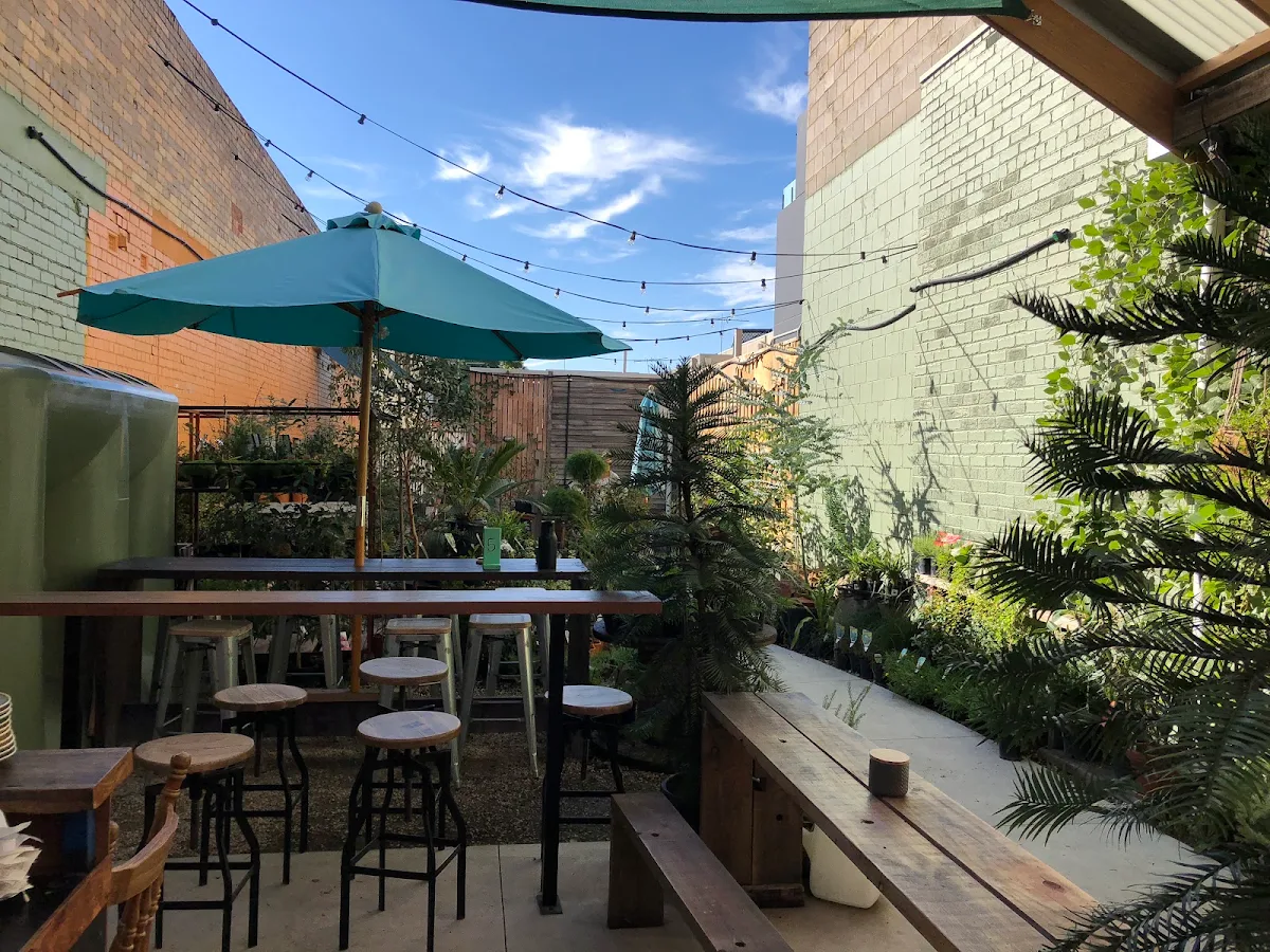Vibe, House of Plants Bar