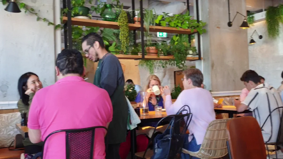 Vibe, Goodfields Eatery