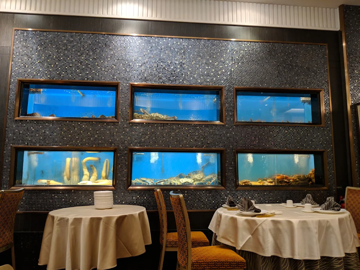 Vibe, Sea Harbour Restaurant