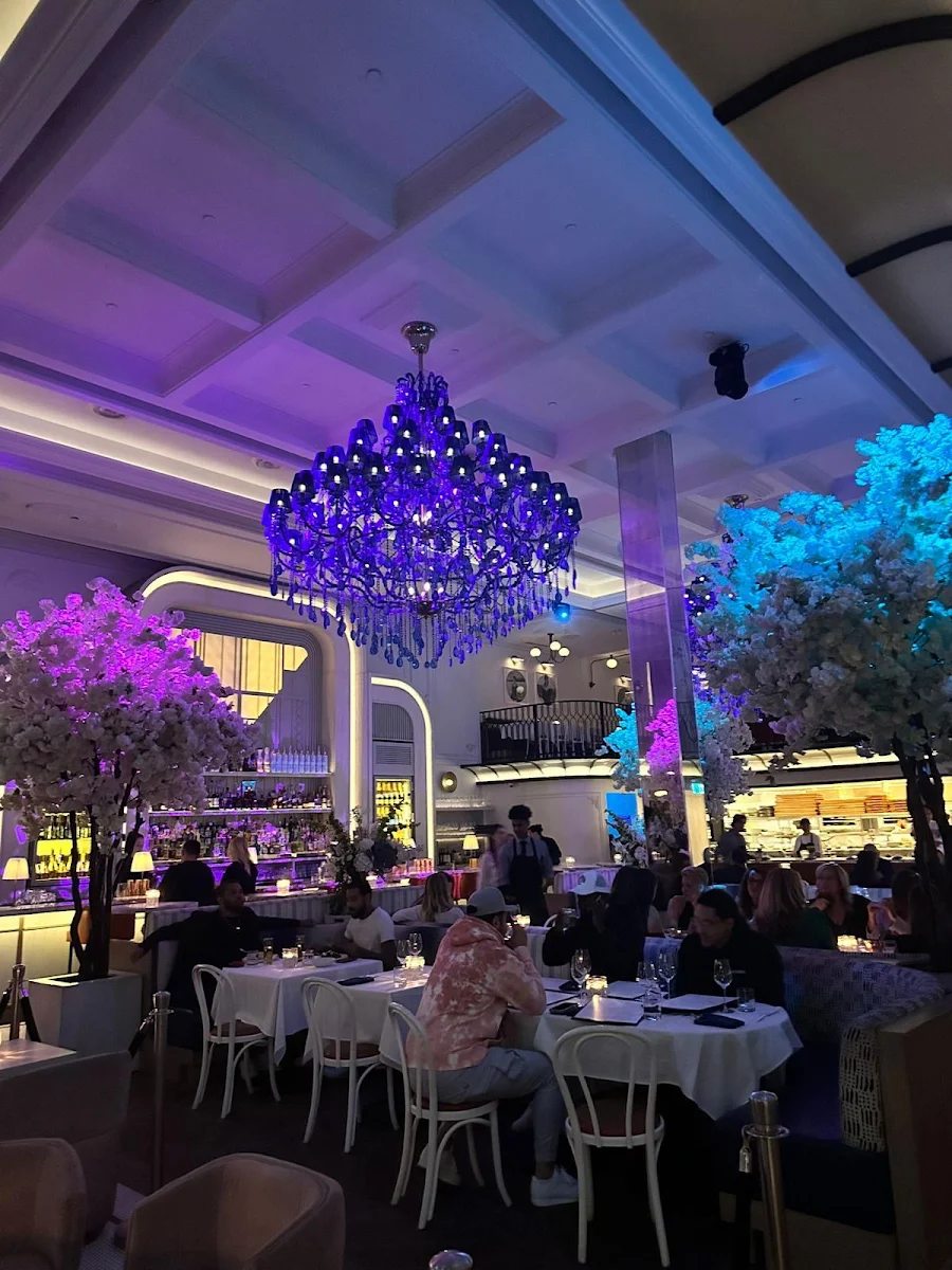 Vibe, Mademoiselle Raw Bar + Grill