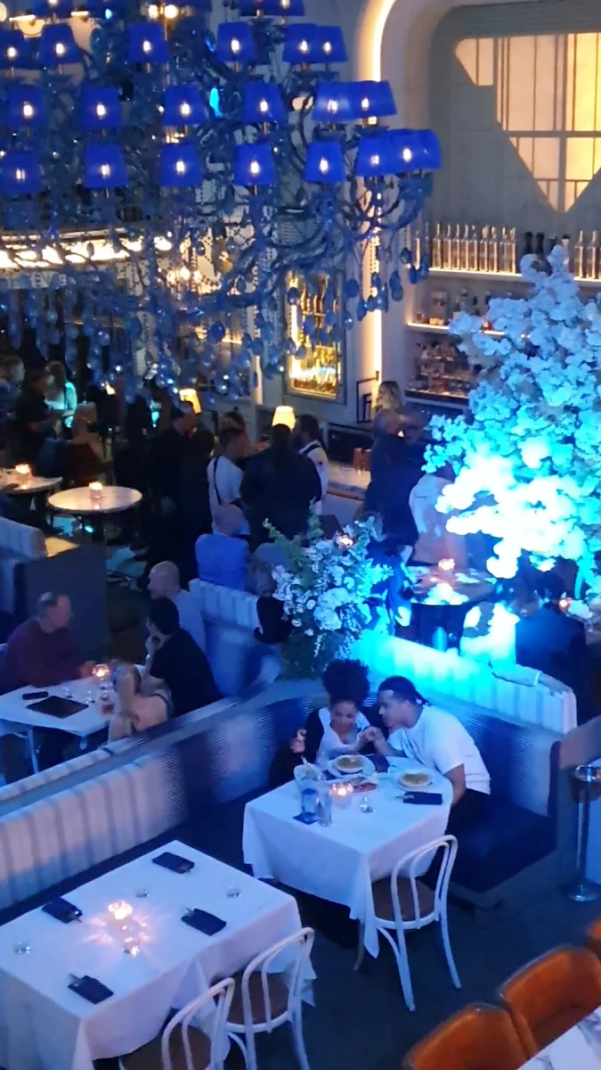 Vibe, Mademoiselle Raw Bar + Grill