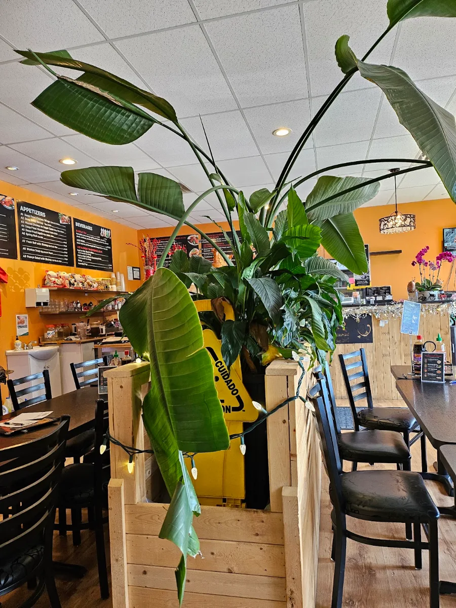 Vibe, The Nguyen's Vietnamese Family Restaurant