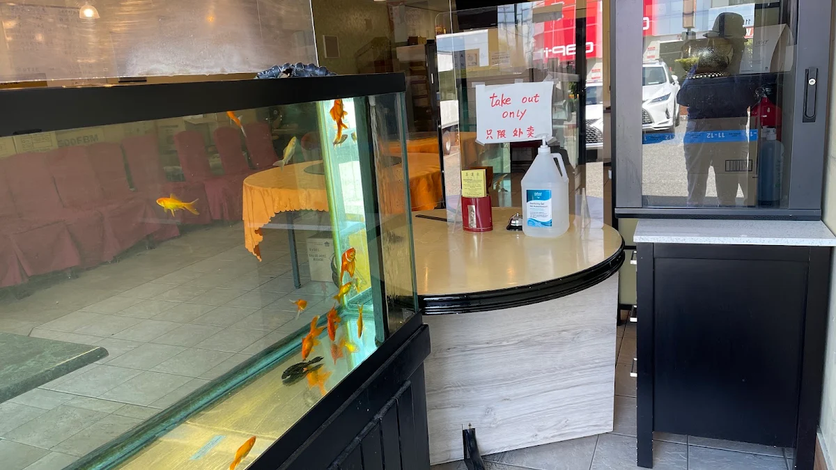 Vibe, Richport Chinese Restaurant