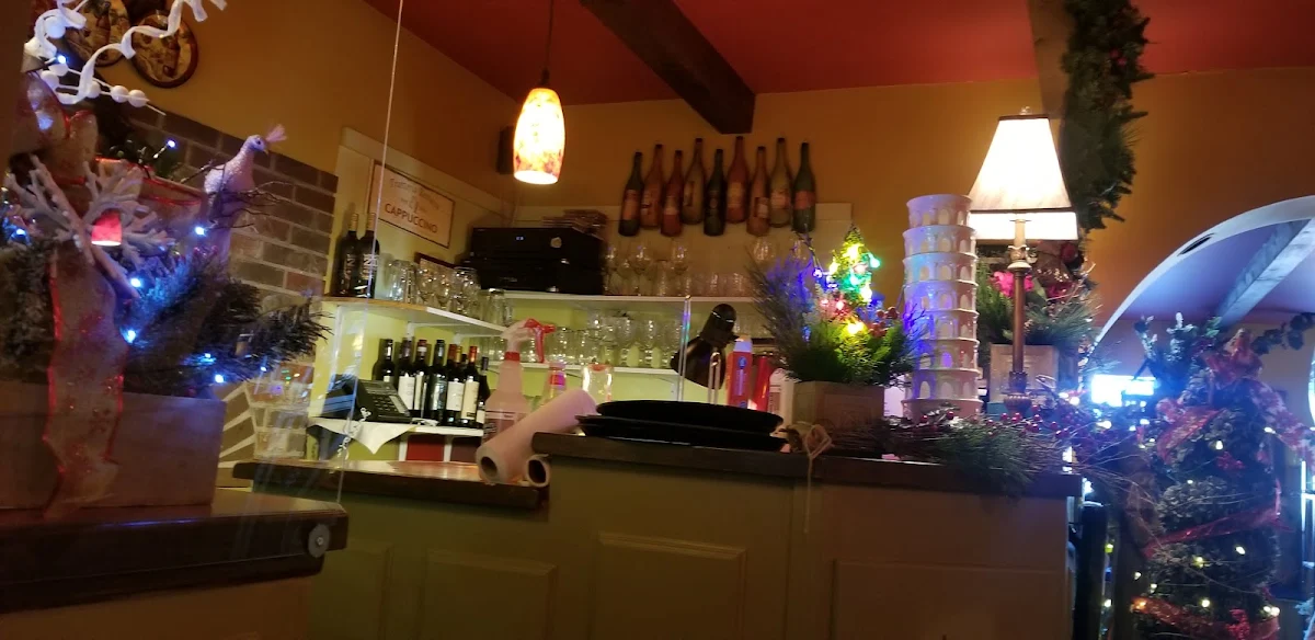 Vibe, The Olive Tree