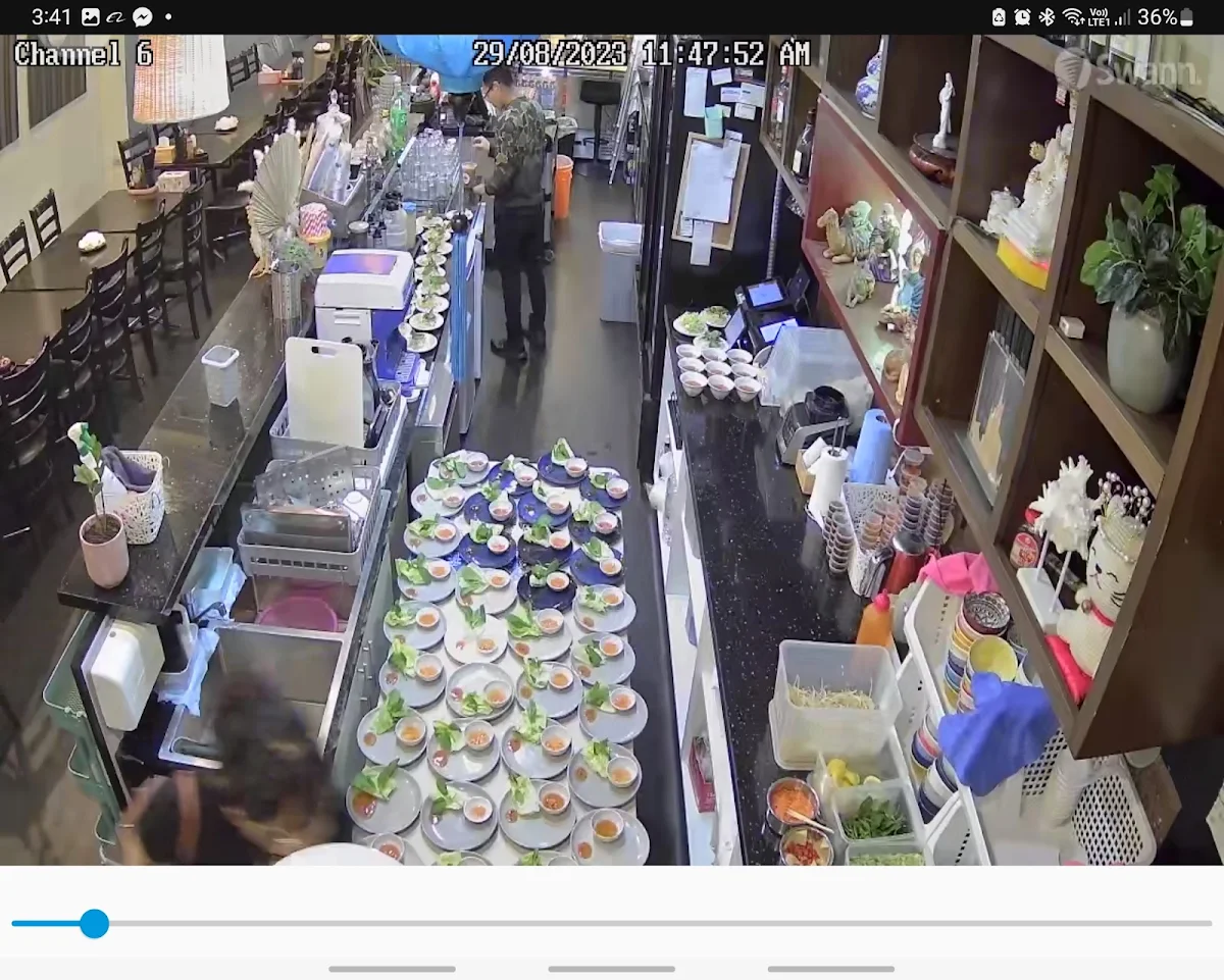 Vibe, Blue Lotus Restaurant & Cafe Vietnamese Cuisine