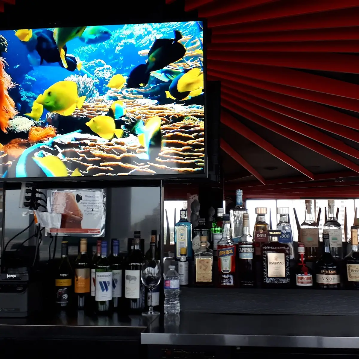 Vibe, Republik Asian Eatery And Bar - Windsor
