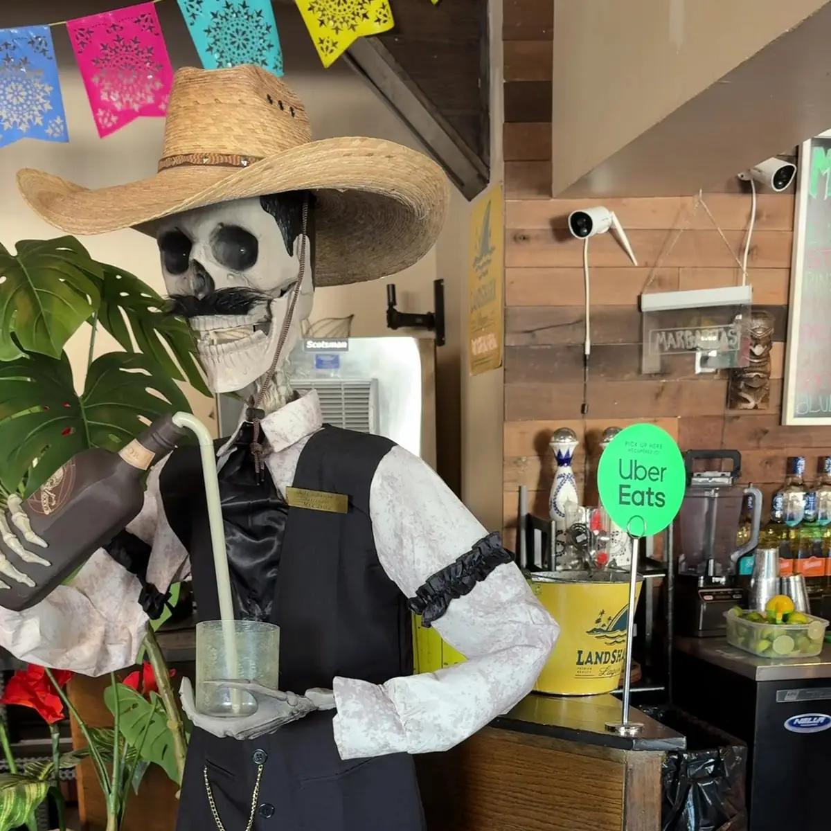 Vibe, Mi Casita Restaurant & Bar