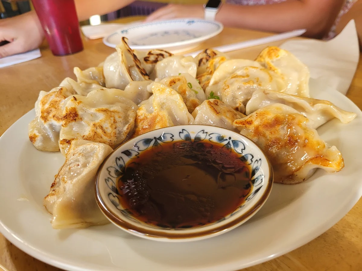 Food & drink, Dumpling House Williams Lake