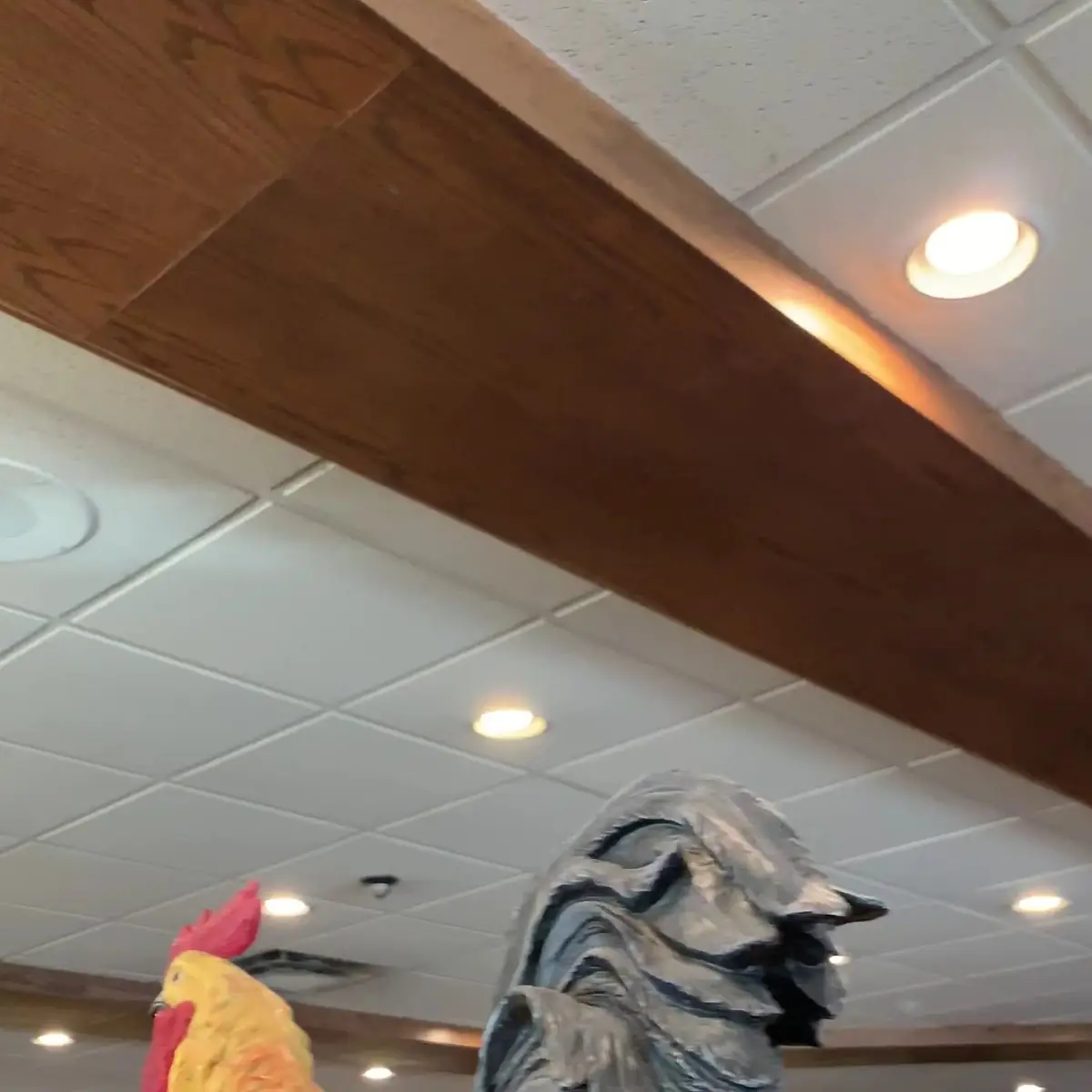 Vibe, Ricky's Country Restaurant - Abbotsford