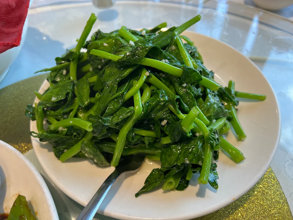 Food & drink, May Yan Seafood Restaurant 陸福海鮮酒家