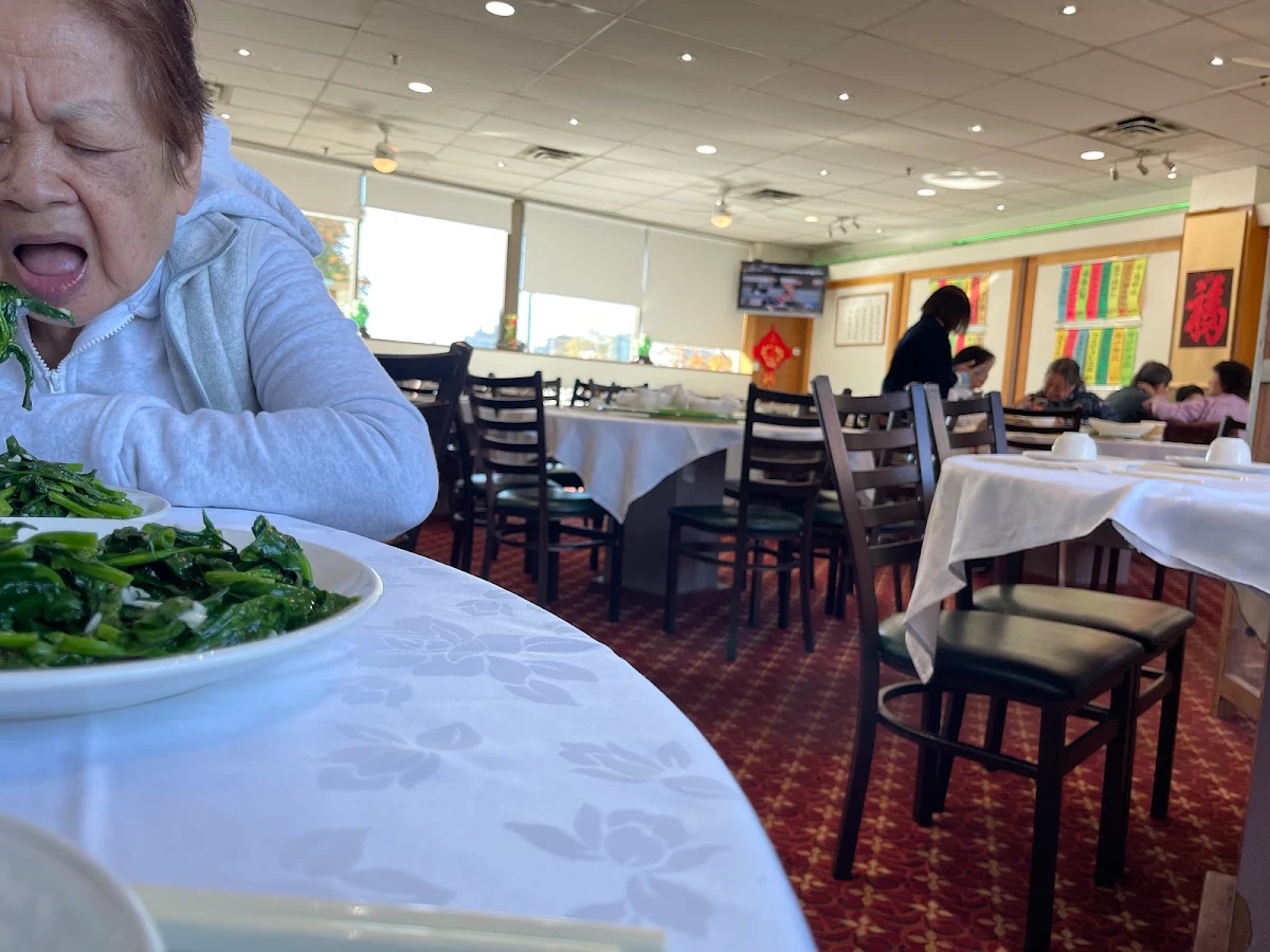 Vibe, May Yan Seafood Restaurant 陸福海鮮酒家