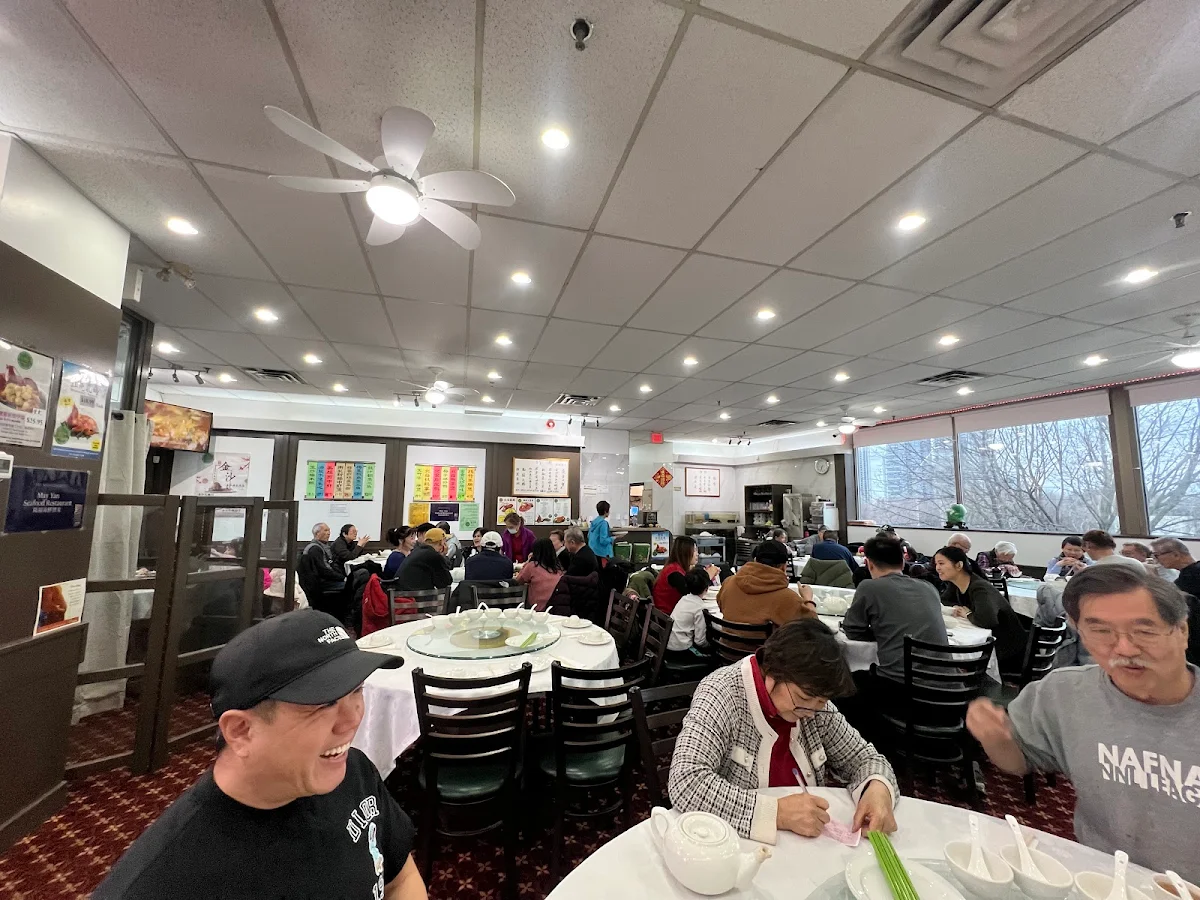 Vibe, May Yan Seafood Restaurant 陸福海鮮酒家