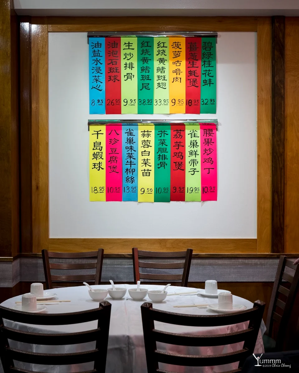 Vibe, May Yan Seafood Restaurant 陸福海鮮酒家