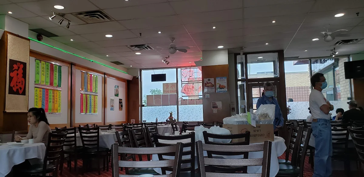 Vibe, May Yan Seafood Restaurant 陸福海鮮酒家