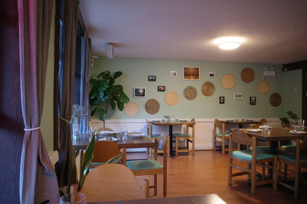 Vibe photo 2