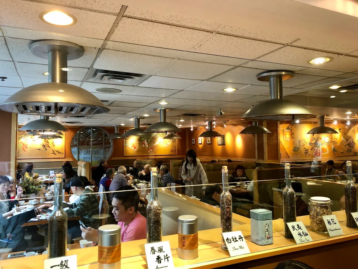 Vibe, Garden City Hot Pot