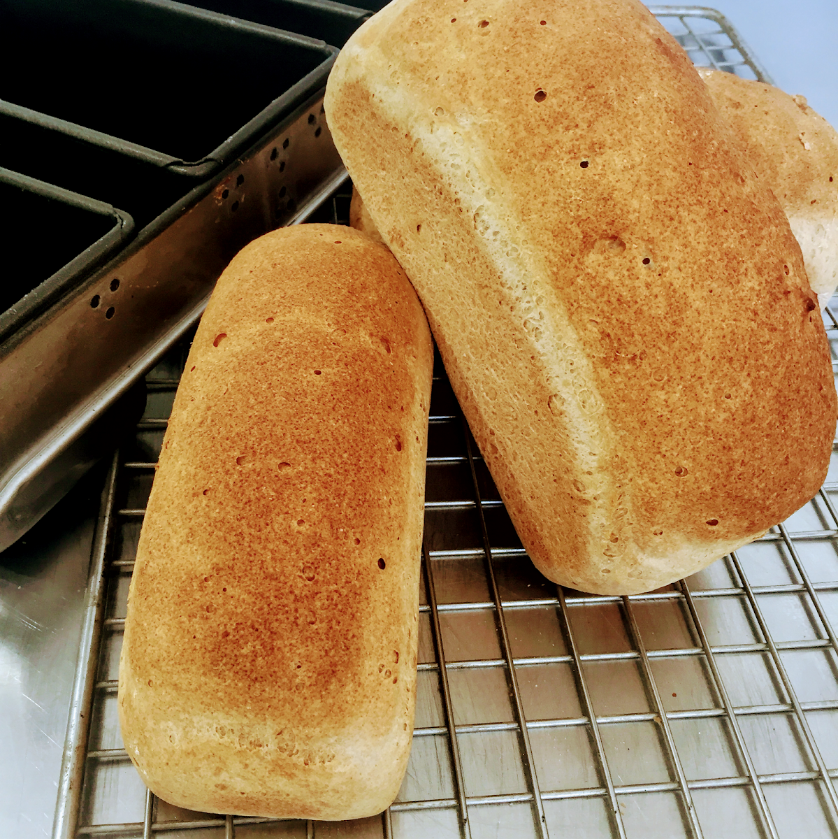 Food & drink, The Angry Baker