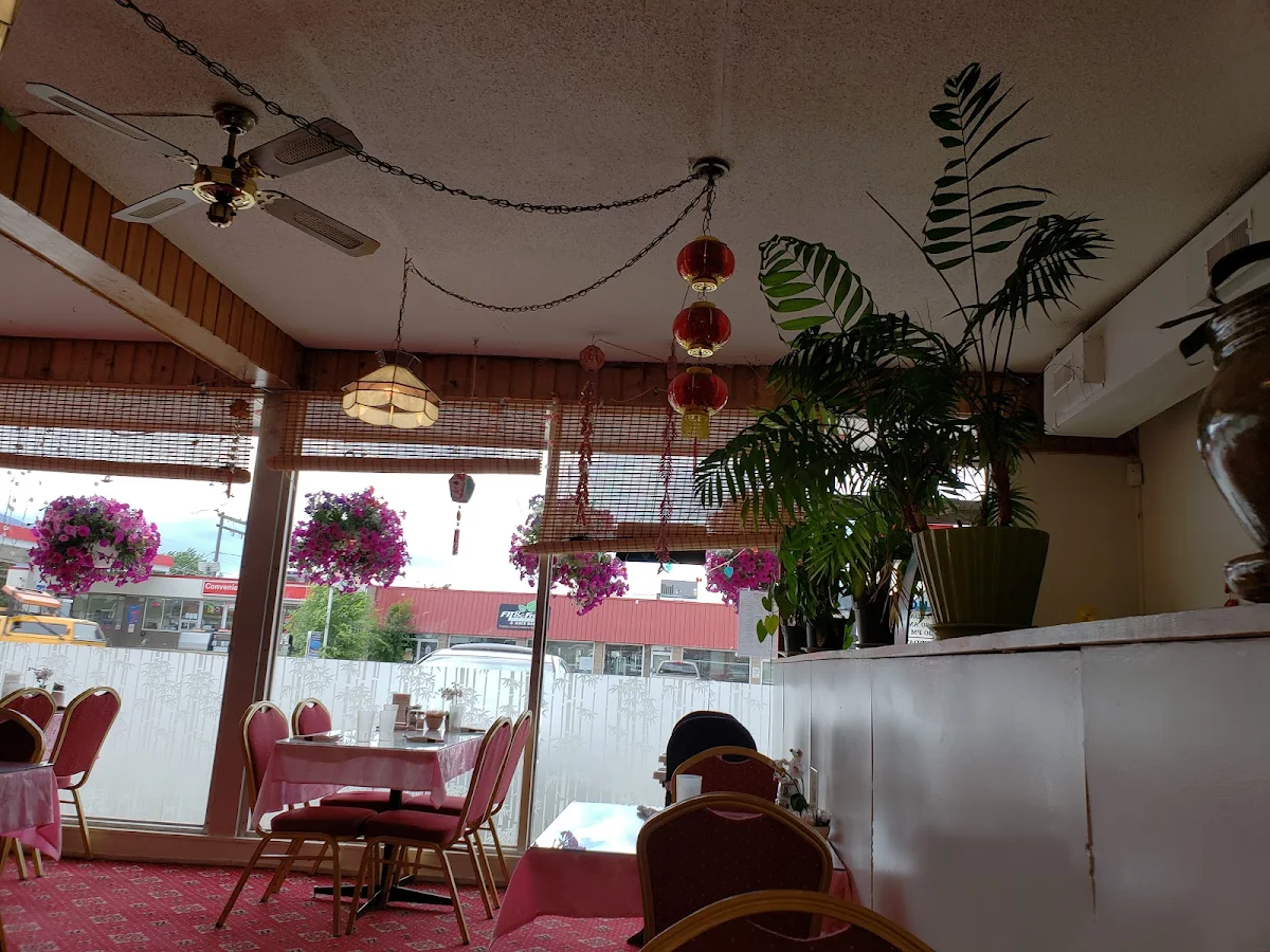 Vibe photo 2