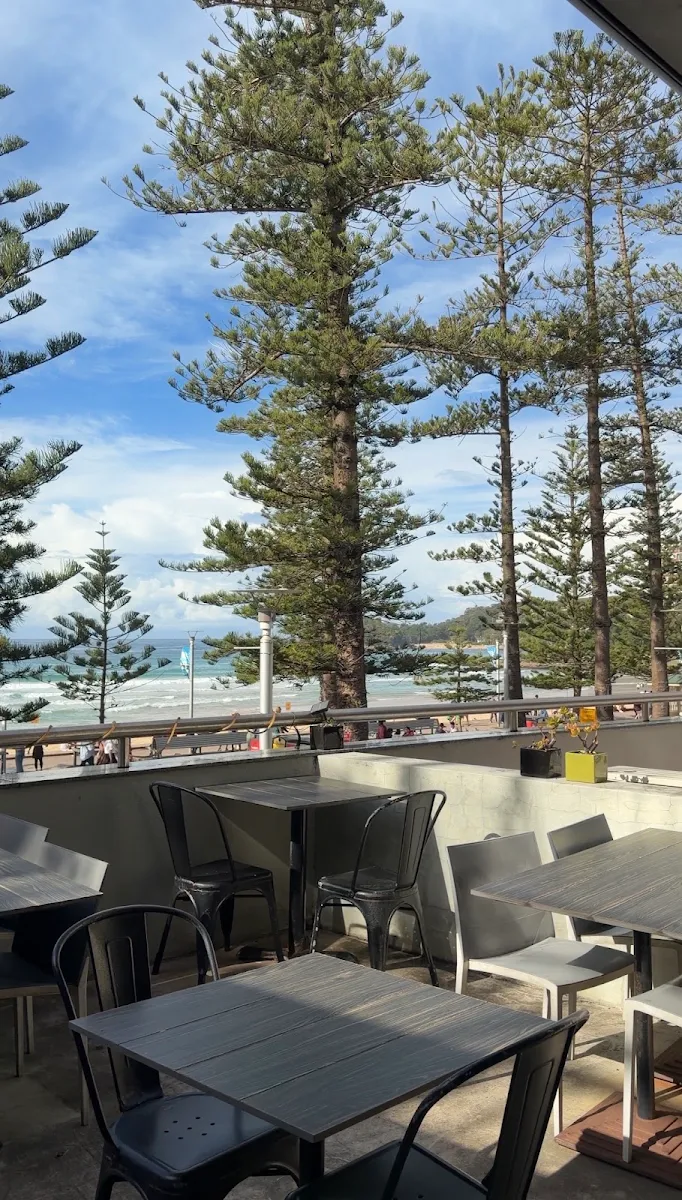 Vibe, Mex & Co Manly