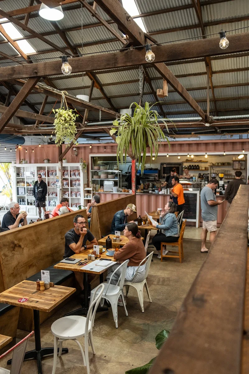 Gun Cotton Coffee Roasters cover