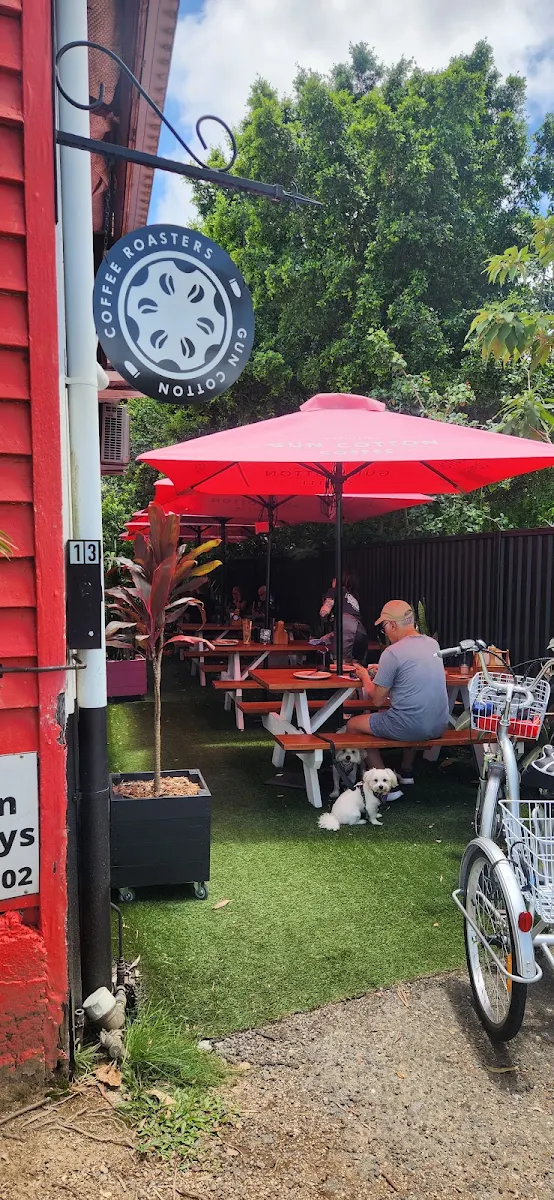 Vibe, Gun Cotton Coffee Roasters