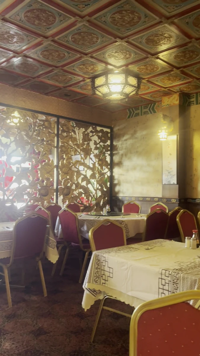 Vibe, Shanghai Chinese Restaurant
