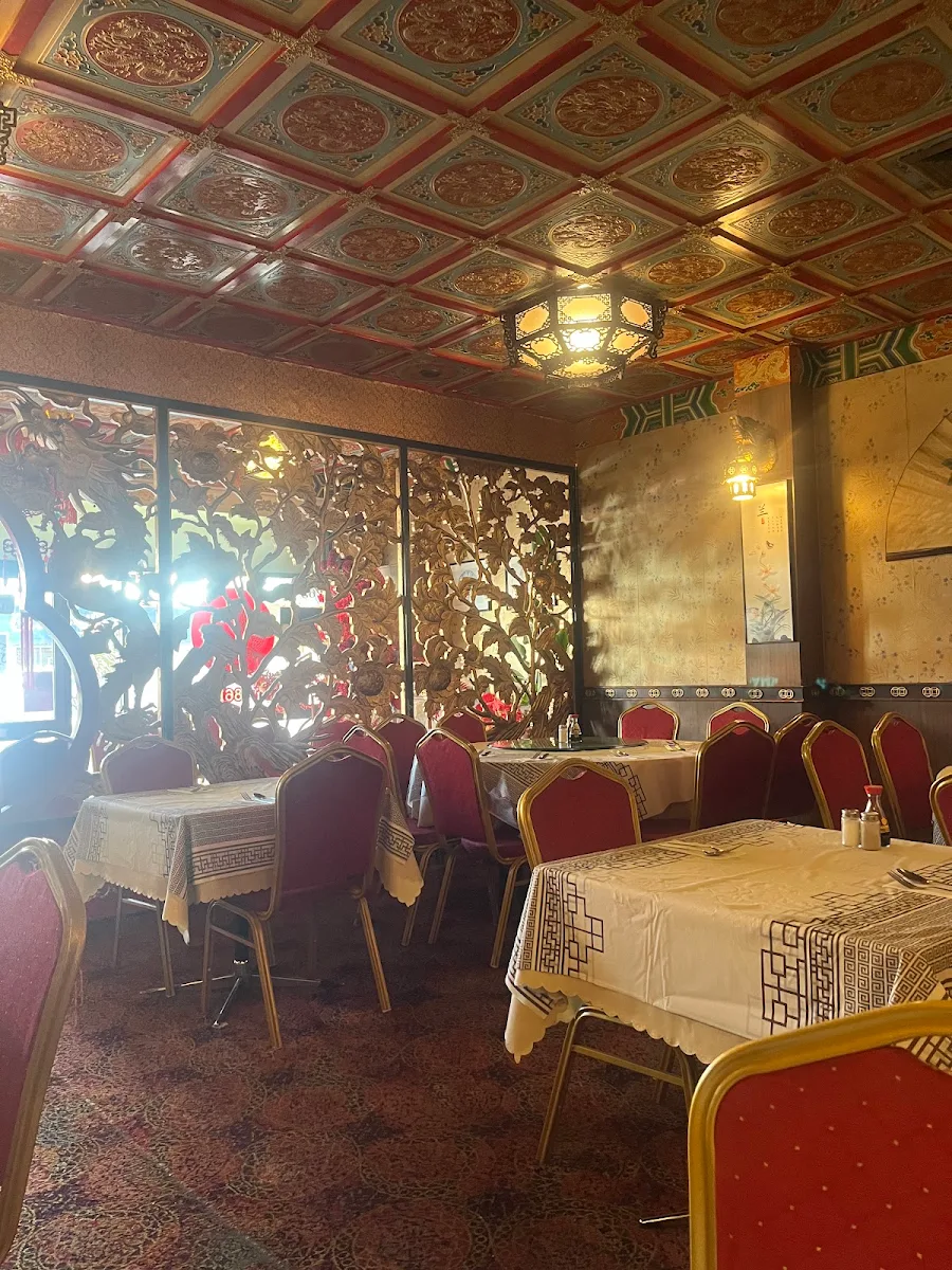 Vibe, Shanghai Chinese Restaurant