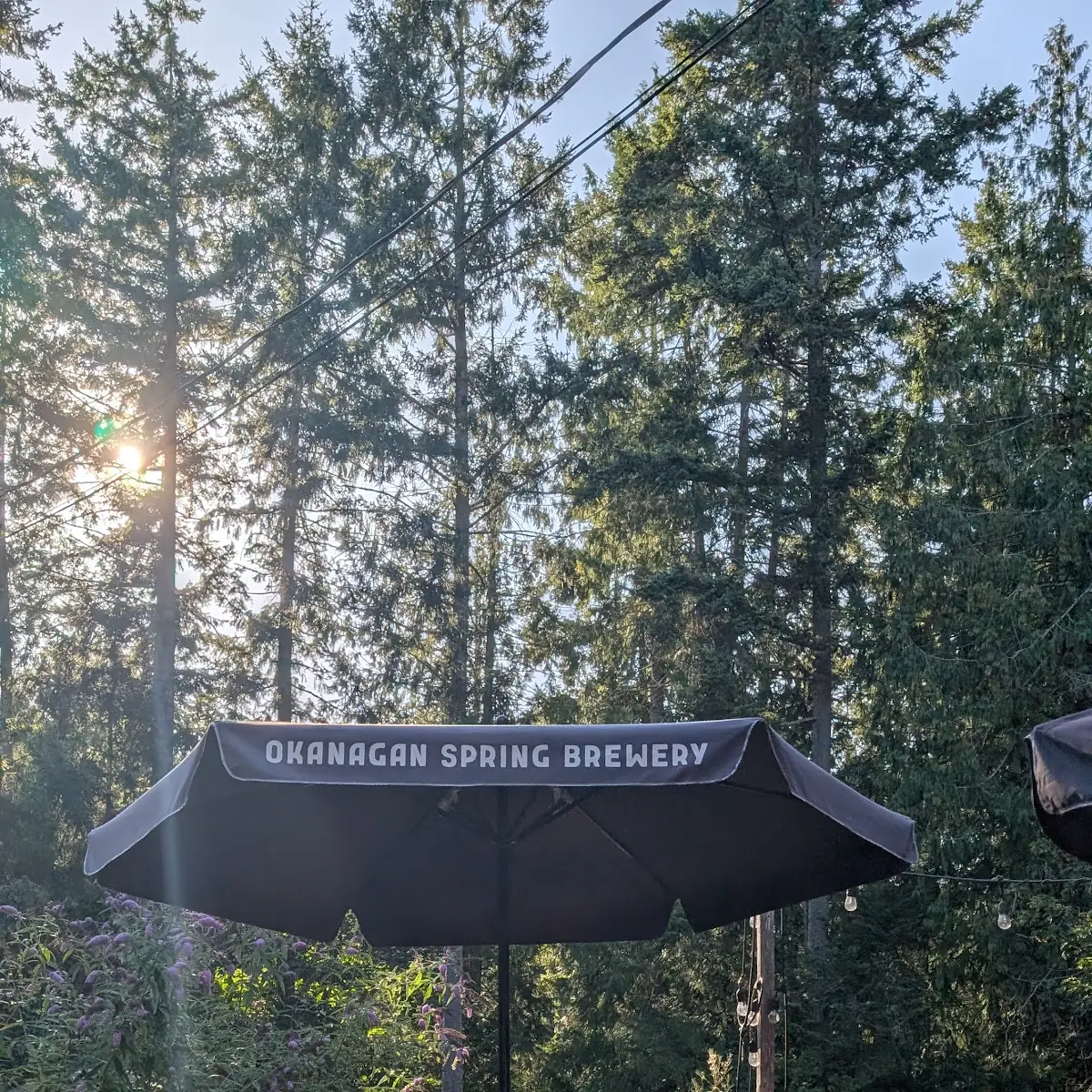 Vibe, Hummingbird Pub & Family Restaurant