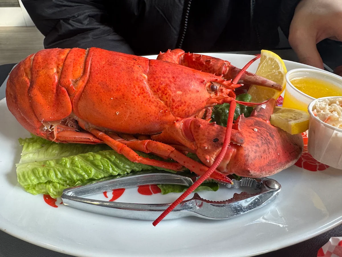 Food & drink photo 8