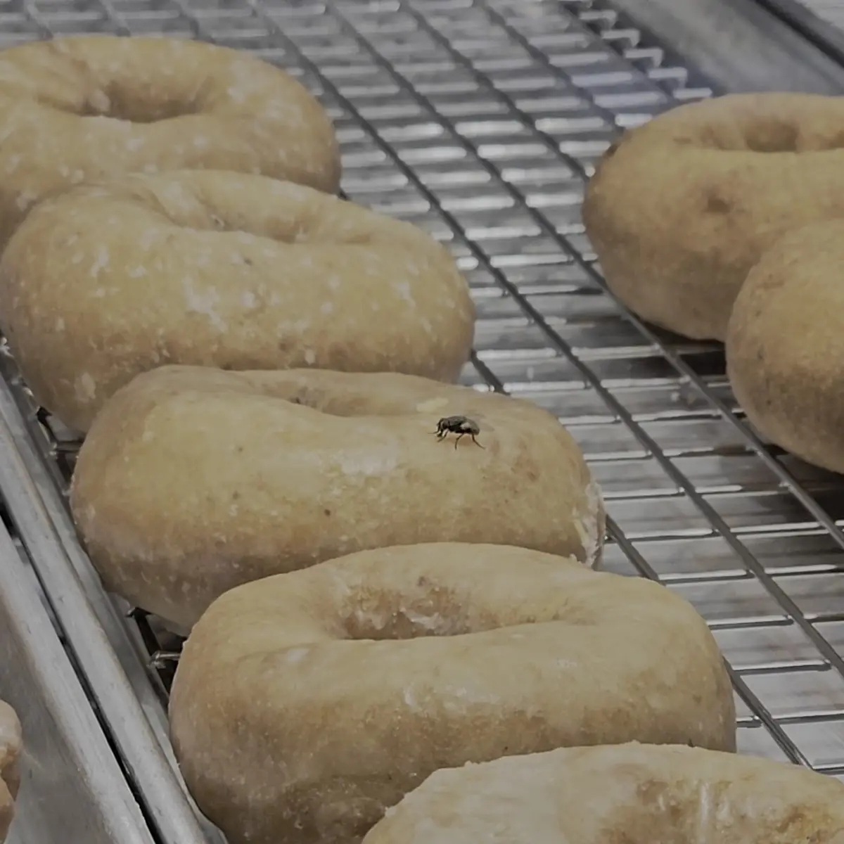 Food & drink, Tim Hortons