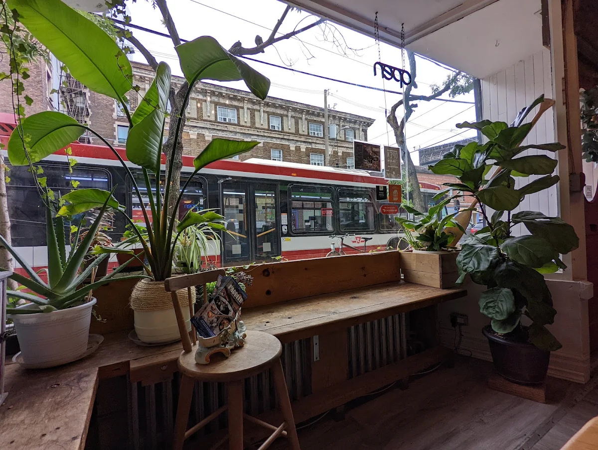 Vibe, Paddler, Thai boat noodles
