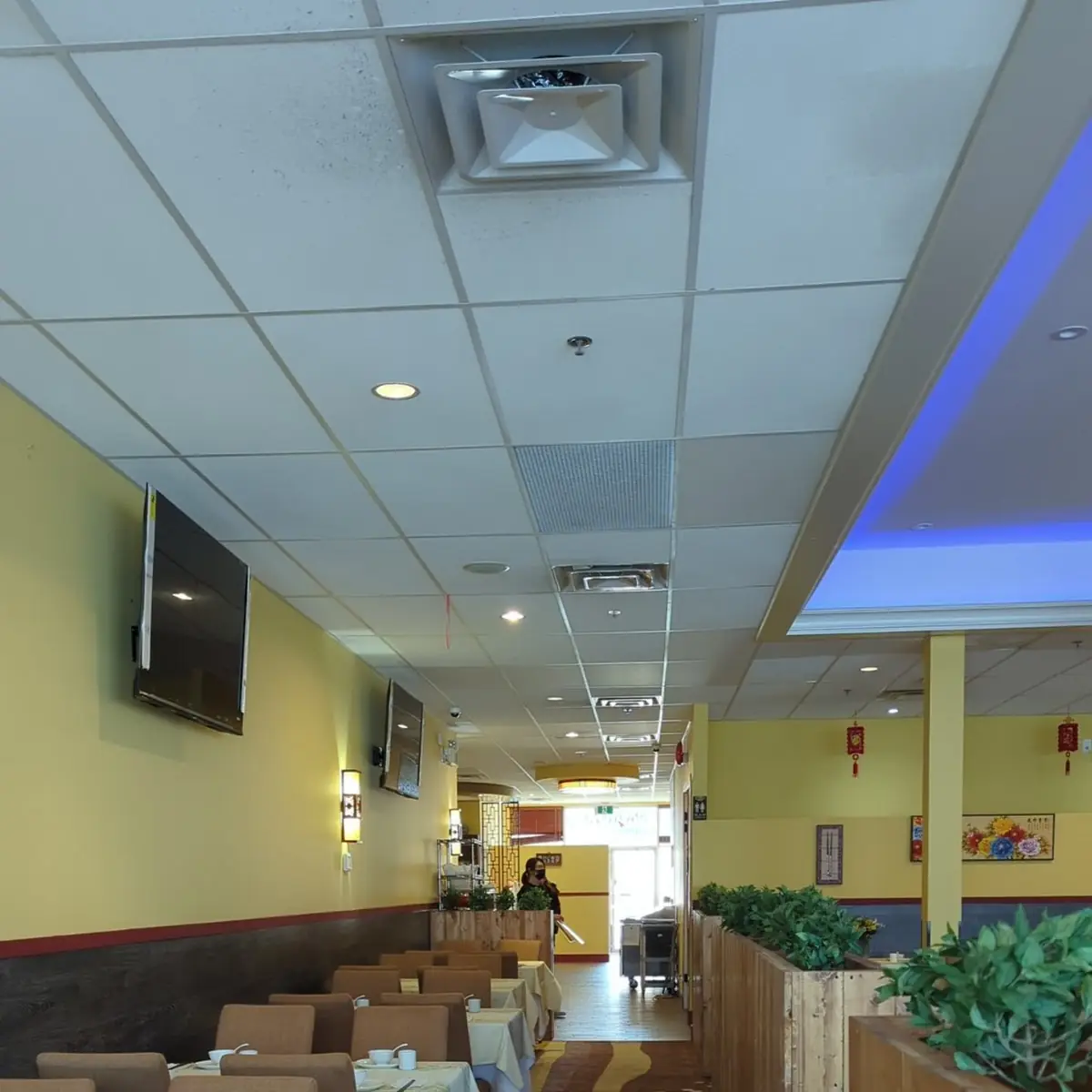 Vibe, 海边人(白石店) Fishermans Chinese Fusion