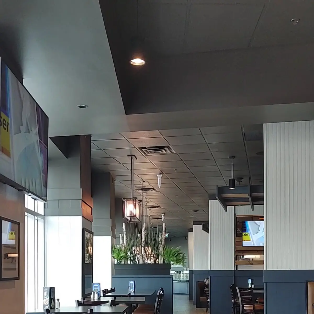 Vibe, Turtle Jack's Niagara Falls