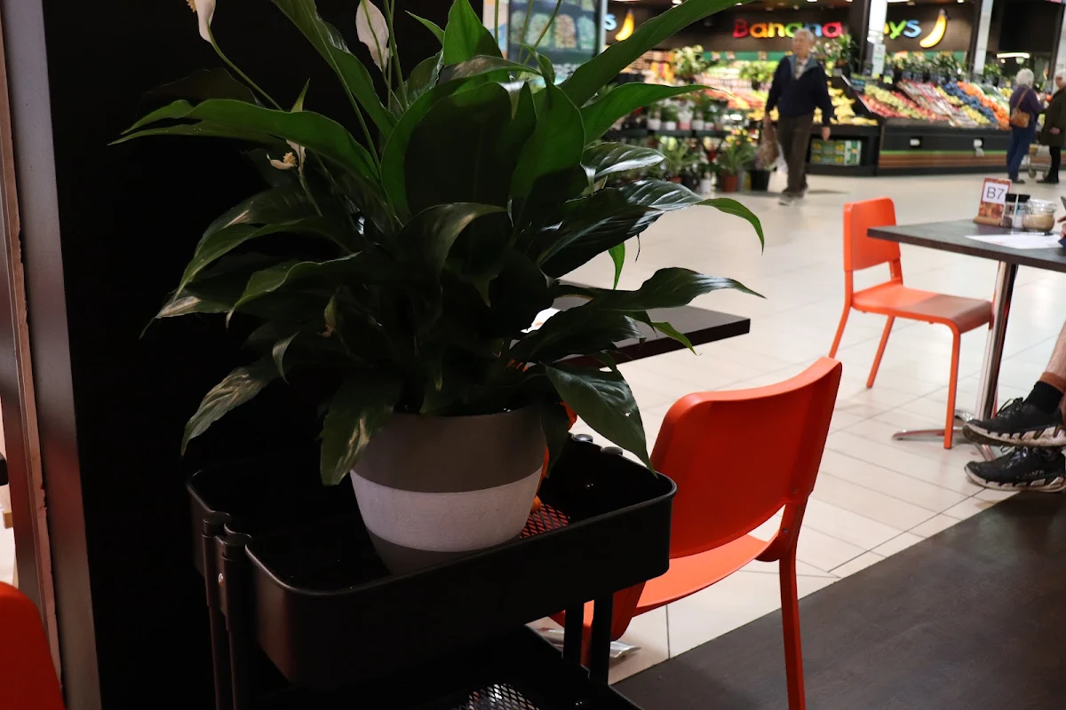 Vibe, Café Ambra